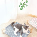 Chat gris et blanc allongé sur un lit surélevé Esprit Chat en bois avec toile bleue à motifs chevrons