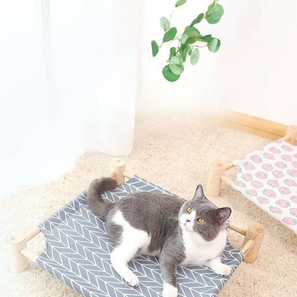 Chat gris et blanc allongé sur un lit surélevé Esprit Chat en bois avec toile bleue à motifs chevrons