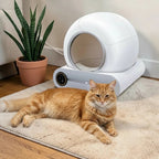 Litière intelligente fermée Esprit Chat blanche, autonettoyante, avec contrôle par application et un chat roux allongé à côté.