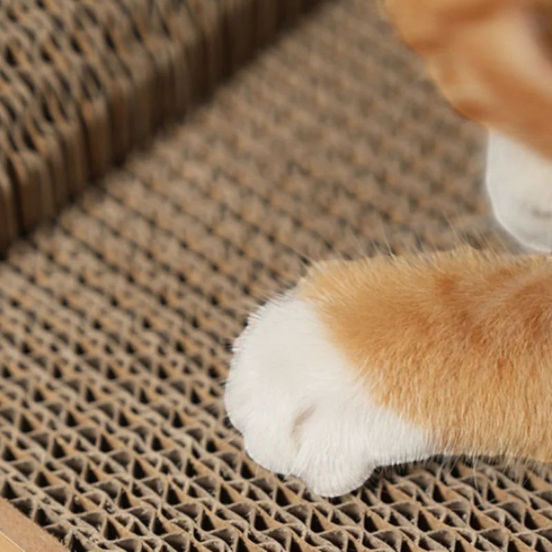 Patte de chat roux sur un griffoir en carton ondulé Esprit Chat à quatre niveaux pour l'entretien des griffes
