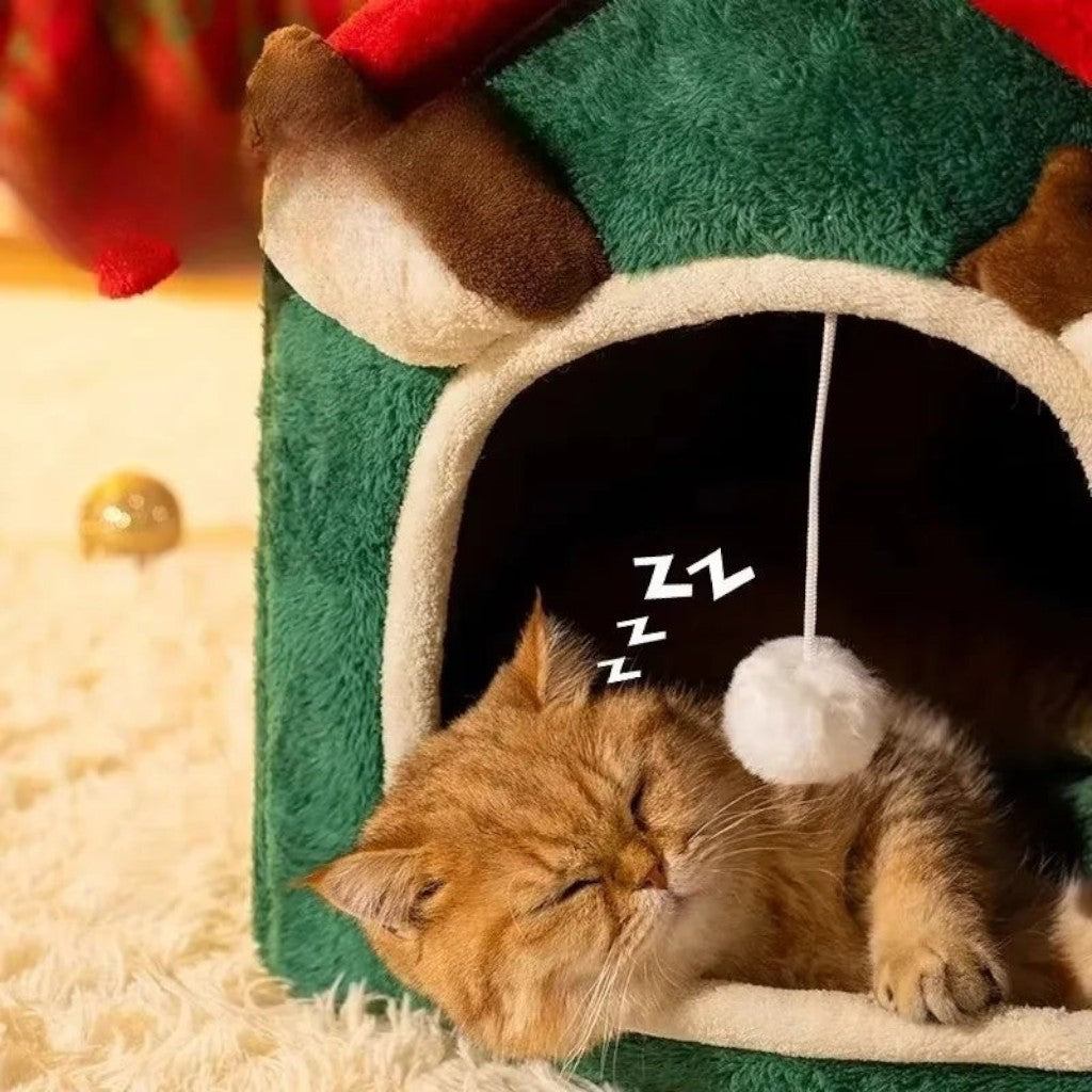 Chat roux dormant dans une maison de Noël en peluche verte et rouge Esprit Chat