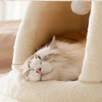 Chat dormant paisiblement dans une maisonnette Esprit Chat en peluche douce de couleur crème