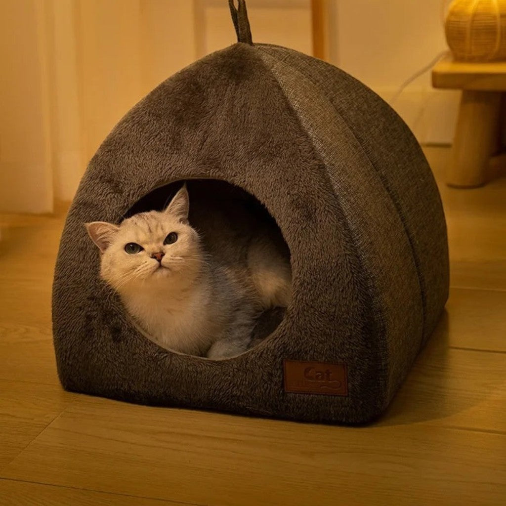 Chat gris clair installé dans une mini tente Esprit Chat en velours doux et confortable pour animal de compagnie
