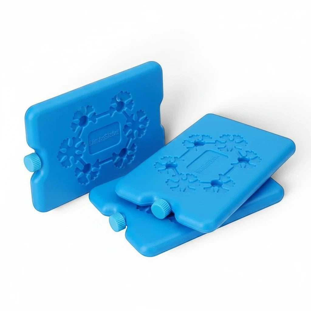Lot de pains de glace bleus réutilisables Esprit Chat en PVC pour glacière ou sac isotherme avec motif flocon