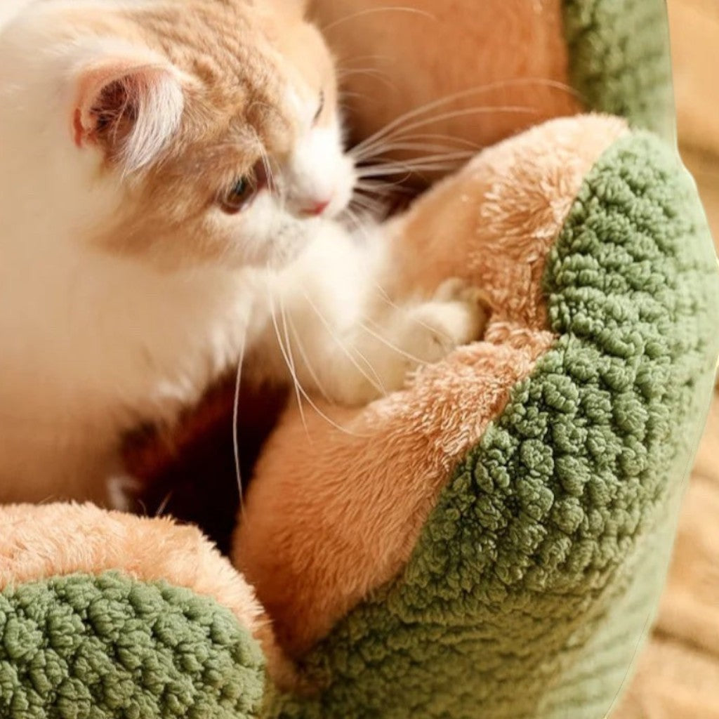 Chaton dans un panier Esprit Chat en polaire corail vert et beige en forme de fleur