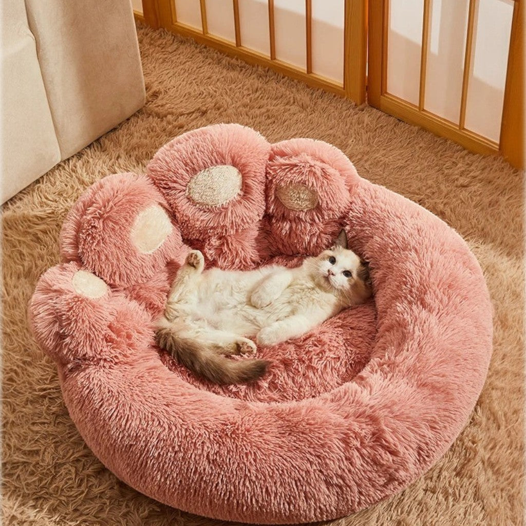 Chaton allongé dans un panier Esprit Chat en forme de patte rose pelucheuse et confortable pour l'hiver