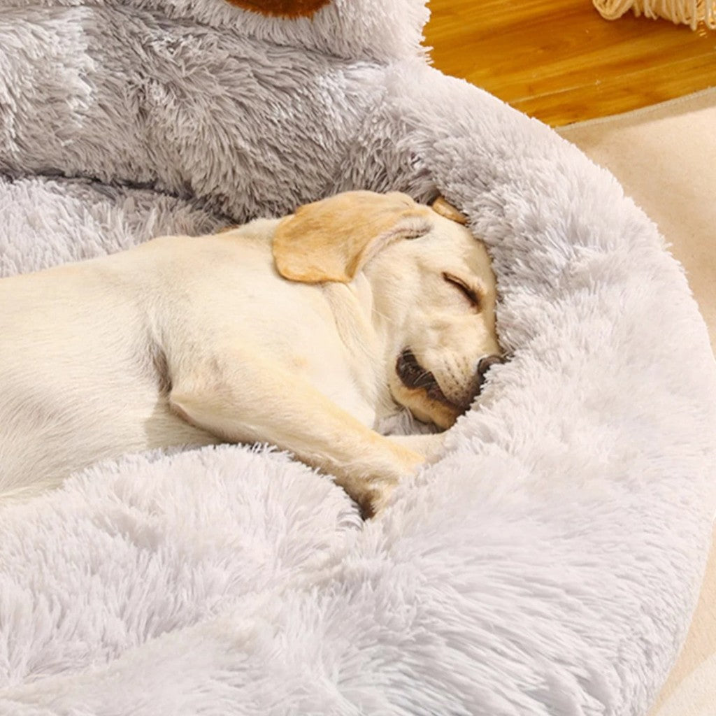 Chiot labrador dormant dans un panier Esprit Chat en peluche grise douce et moelleuse pour l'hiver