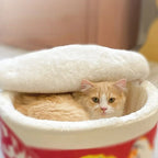 Chaton roux confortablement installé dans un panier Esprit Chat en coton doux avec couvercle moelleux