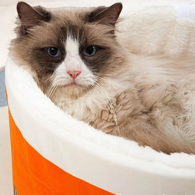 Chat Ragdoll aux yeux bleus confortablement installé dans un panier Esprit Chat en coton blanc et orange
