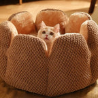 Panier Esprit Chat en forme de fleur en polaire corail marron avec un chaton installé confortablement à l'intérieur