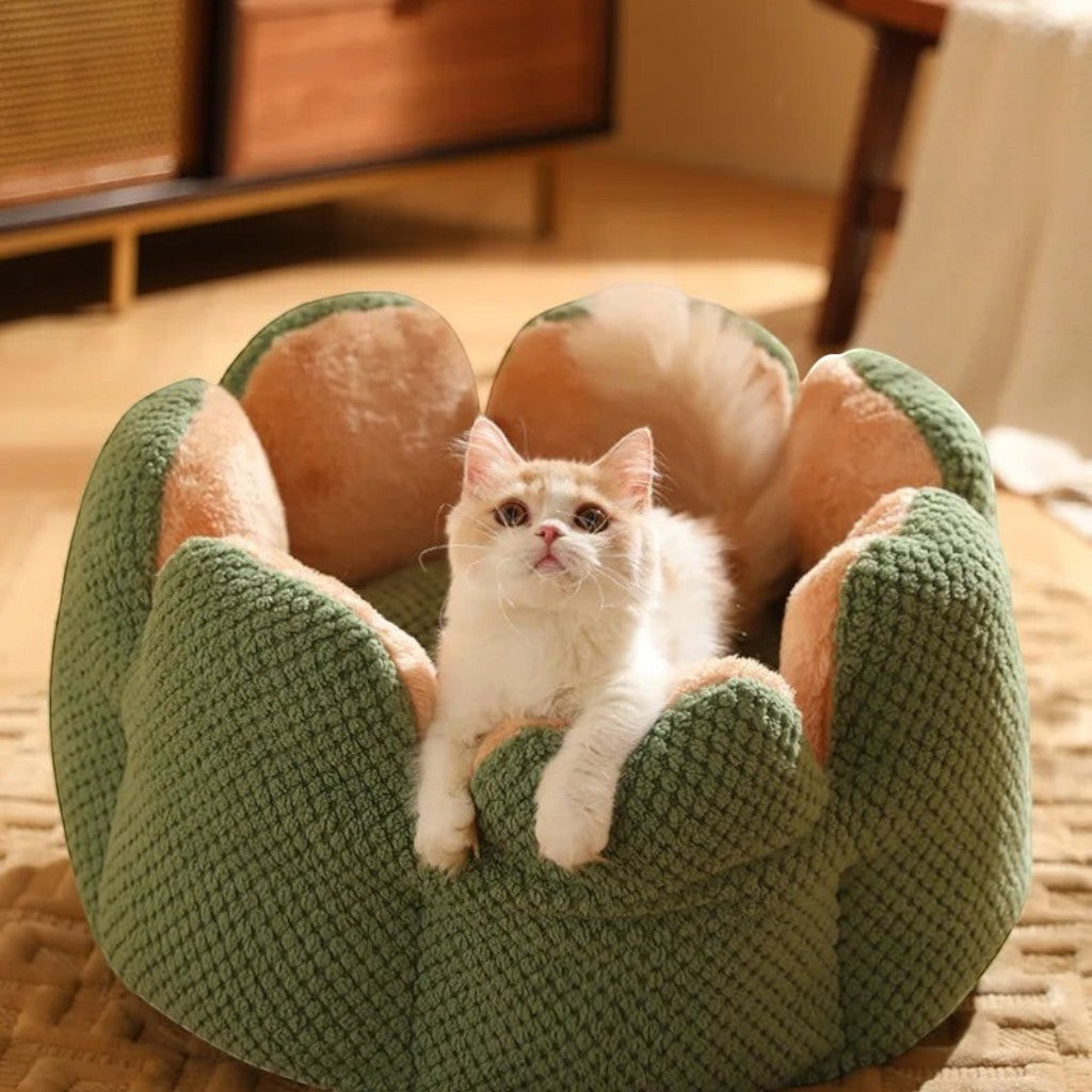Panier Esprit Chat en forme de fleur vert et beige en polaire corail pour le confort de votre chat