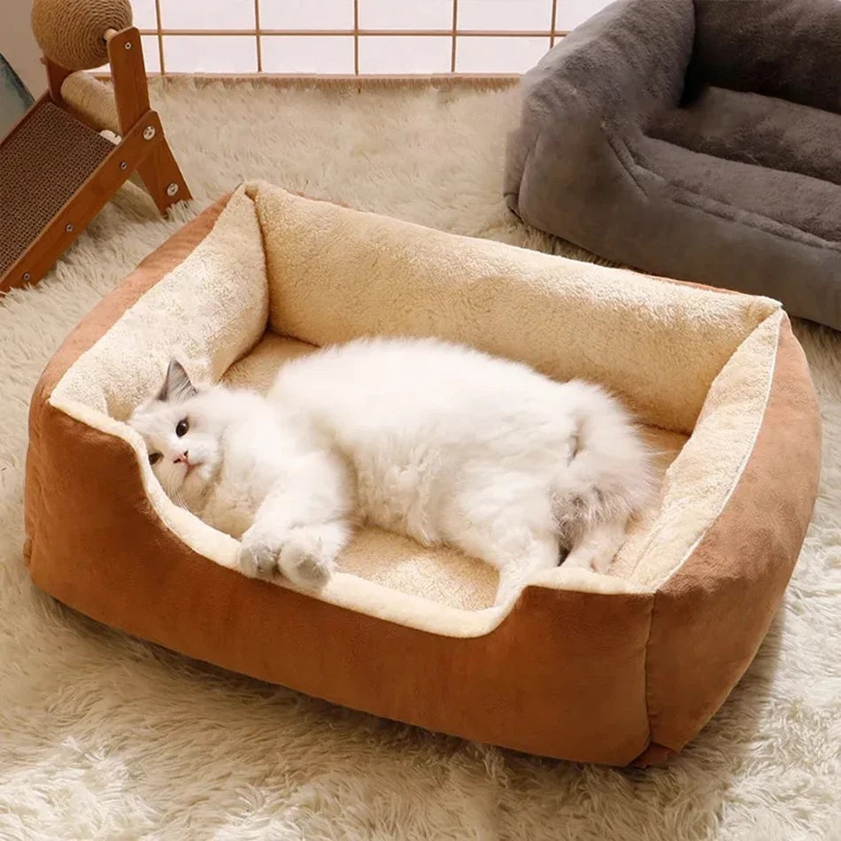 Chat blanc allongé dans un panier Esprit Chat rectangulaire en peluche douce marron et beige