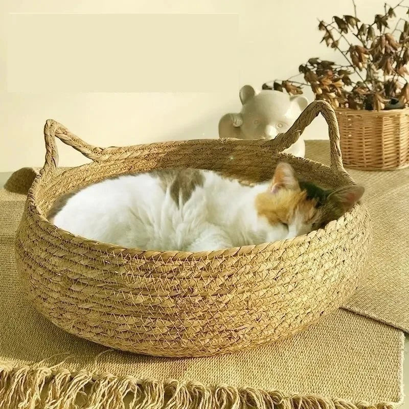 Panier tressé en bambou Esprit Chat avec oreilles de chat, accueillant un chat tricolore endormi
