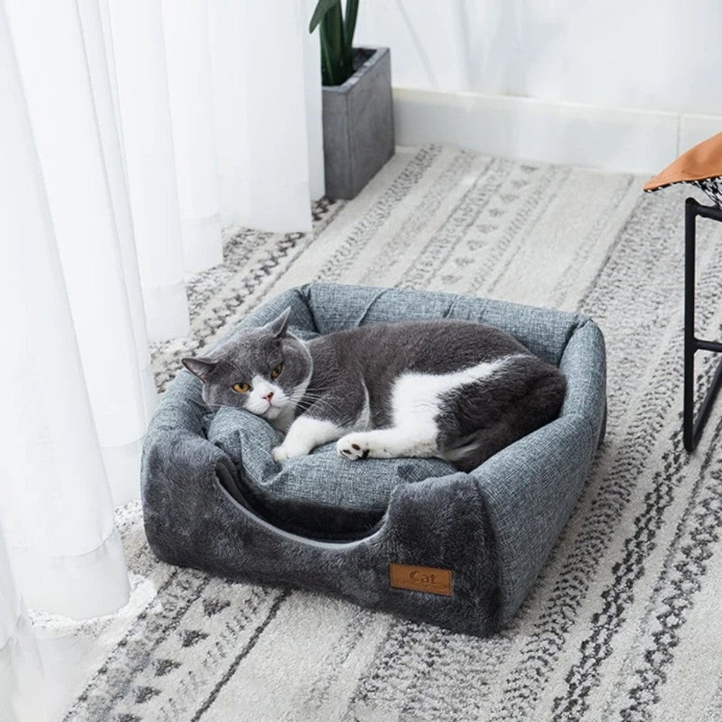 Chat gris et blanc couché dans un panier Esprit Chat en velours gris confortable et douillet