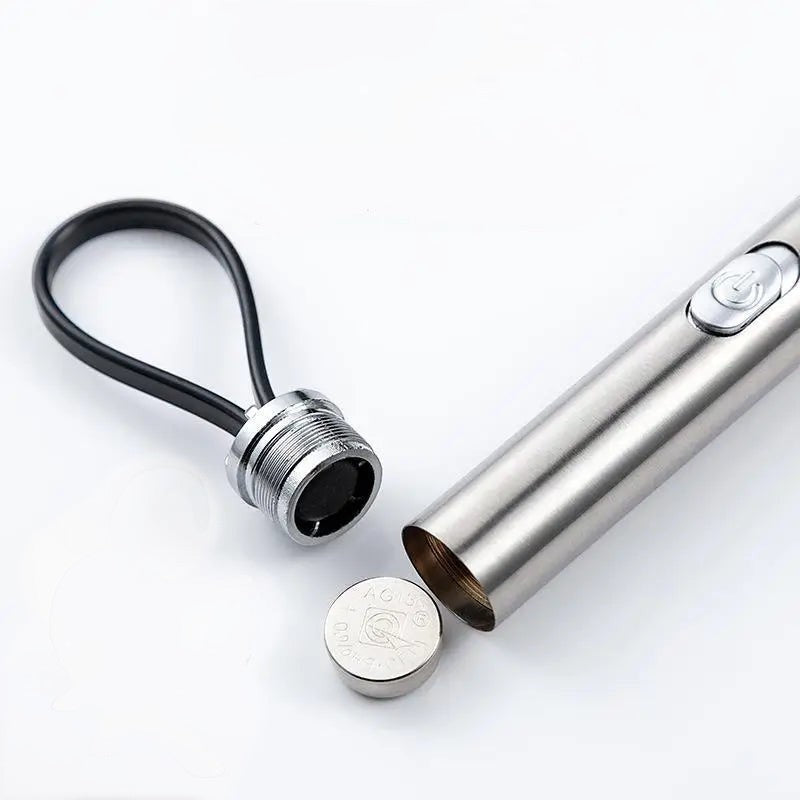 Pointeur laser Esprit Chat en acier inoxydable avec pile incluse pour divertir votre chat avec divers motifs