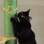 Chat noir faisant ses griffes sur un poteau en sisal vert robuste de l'arbre à chat Esprit Chat
