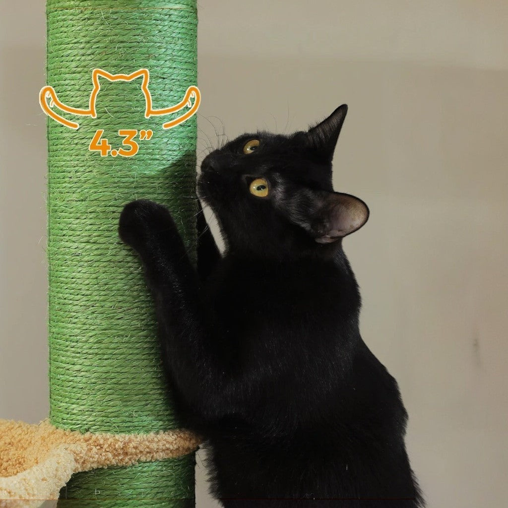 Chat noir faisant ses griffes sur un poteau en sisal vert robuste de l'arbre à chat Esprit Chat