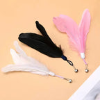 Accessoires de remplacement Esprit Chat : têtes de plumes colorées avec grelot pour jouet interactif pour chat