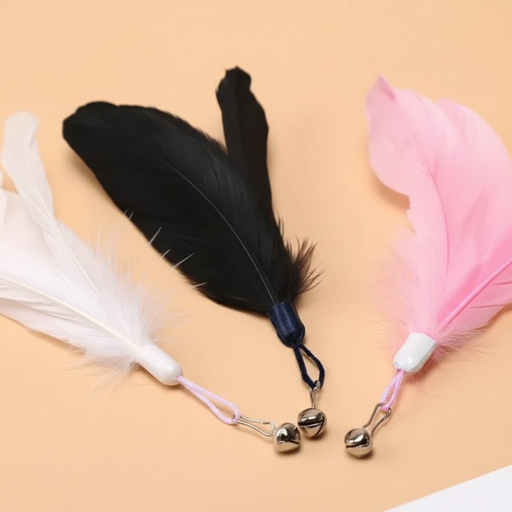 Recharges de plumes colorées avec grelots pour jouet interactif Esprit Chat, accessoires pour chat en plumes naturelles