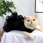 Chat portant une robe harnais noire Esprit Chat avec un nœud papillon, en nylon respirant pour un style élégant.