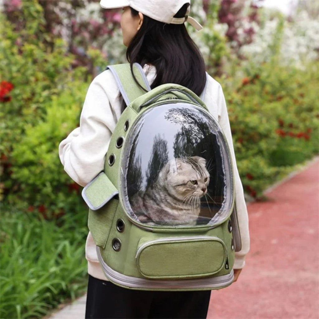 Sac de transport Esprit Chat vert en nylon avec bulle transparente pour chat, porté en sac à dos dans un parc.