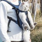 Sac à dos Esprit Chat bleu en nylon pour transporter un chat avec les pattes à l'extérieur, porté sur la poitrine.