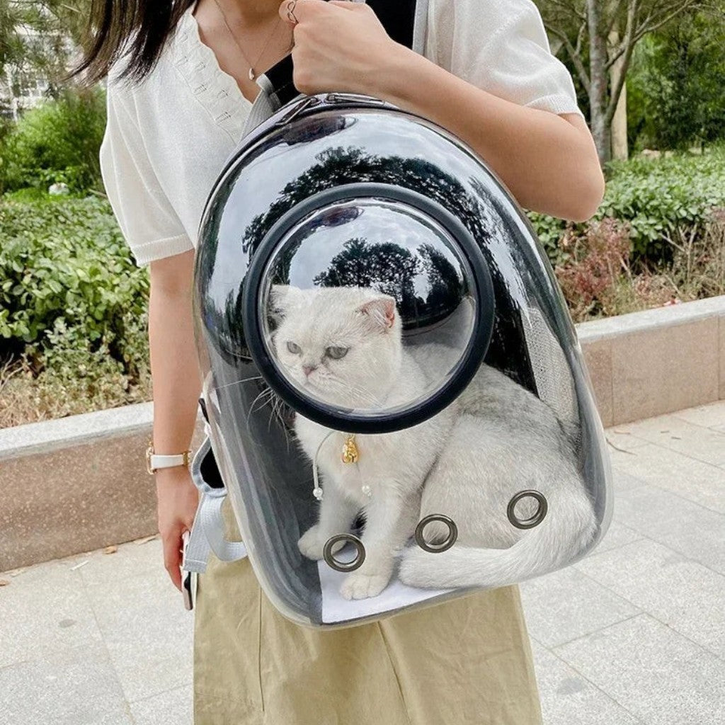 Sac de transport bulle transparent noir en PVC et tissu Oxford par Esprit Chat, avec fenêtre panoramique pour chat.