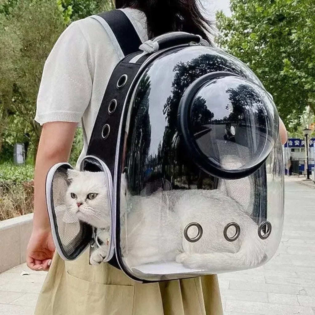 Esprit Chat sac de transport bulle pour chat en plastique transparent et tissu oxford noir avec une fenêtre latérale et une bulle d'observation.
