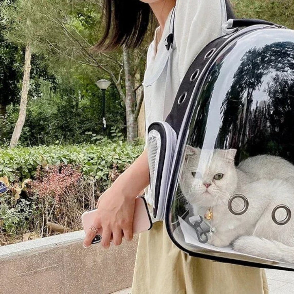 Esprit Chat sac de transport bulle pour chat en plastique transparent et tissu oxford noir, avec ventilation.