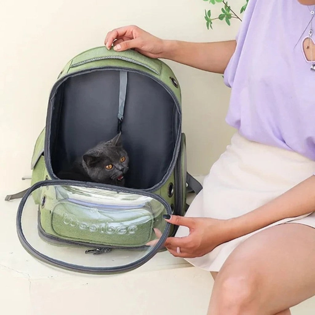 Sac de transport Esprit Chat vert en nylon avec fenêtre bulle transparente pour chat, idéal pour les voyages.