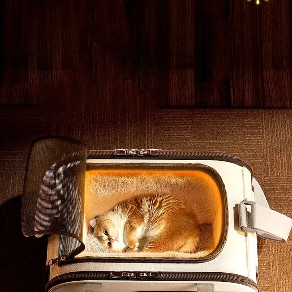 Sac de transport bandoulière Esprit Chat en tissu synthétique beige avec fermeture éclair pour chaton