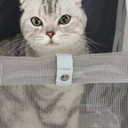 Chat gris dans un sac de transport Esprit Chat en fibre avec filet de ventilation et fermeture à bouton-pression