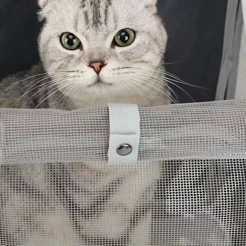 Chat gris dans un sac de transport Esprit Chat en fibre avec filet de ventilation et fermeture à bouton-pression