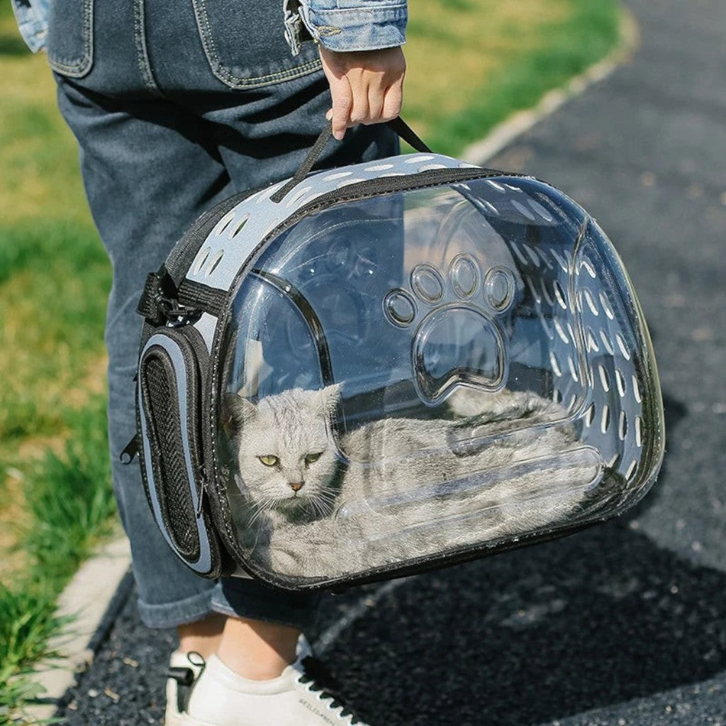 Sac de transport Esprit Chat transparent et pliable pour chat, idéal pour les voyages avec une fenêtre panoramique
