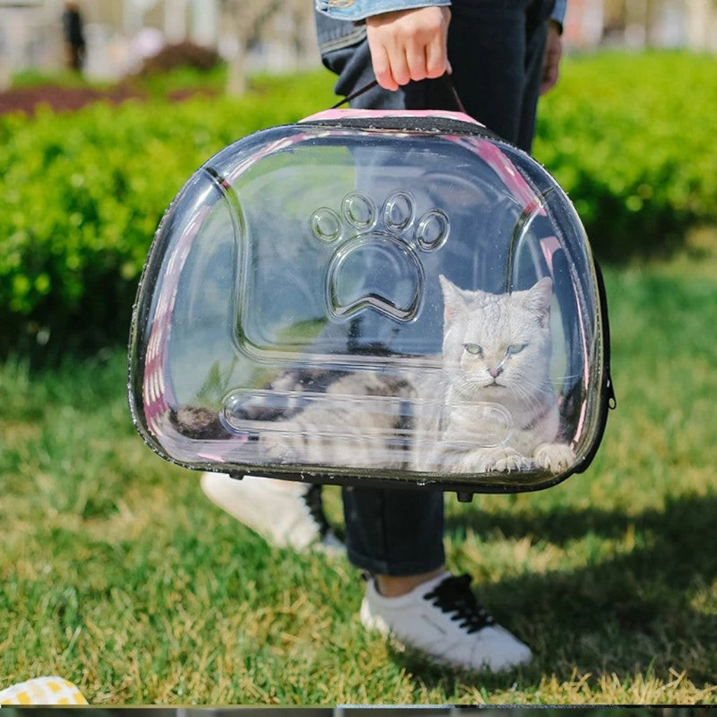 Sac de transport Esprit Chat transparent et pliable pour chat, idéal pour les voyages en extérieur