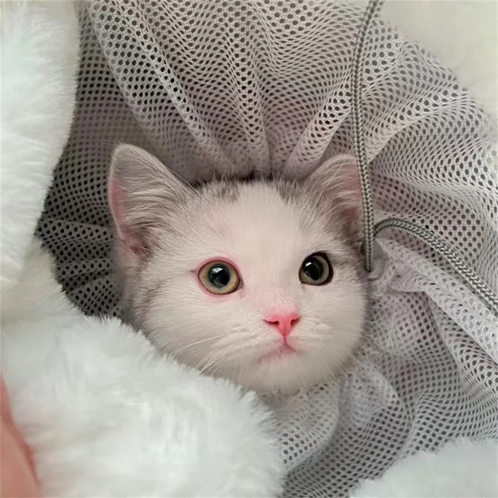Petit chaton blanc et gris confortablement installé dans un sac de transport Esprit Chat en velours doux et filet