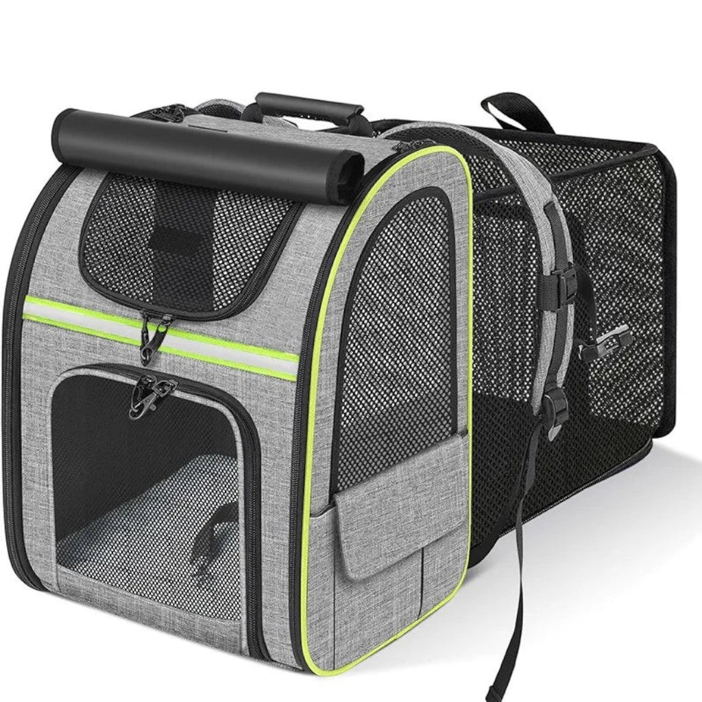 Sac de transport extensible Esprit Chat en tissu oxford gris avec panneaux en maille respirante et détails néon