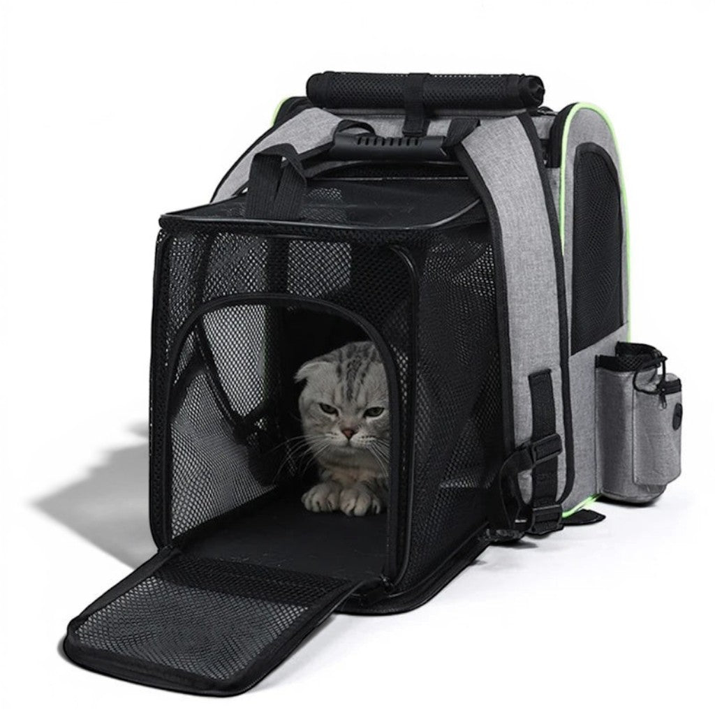 Sac de transport extensible Esprit Chat en tissu oxford gris avec filet noir pour chat