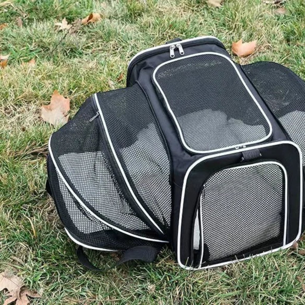 Sac de transport extensible Esprit Chat en nylon noir avec panneaux en maille respirante pour chat