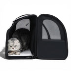 Sac de transport extensible Esprit Chat en tissu oxford noir avec filet respirant pour chat