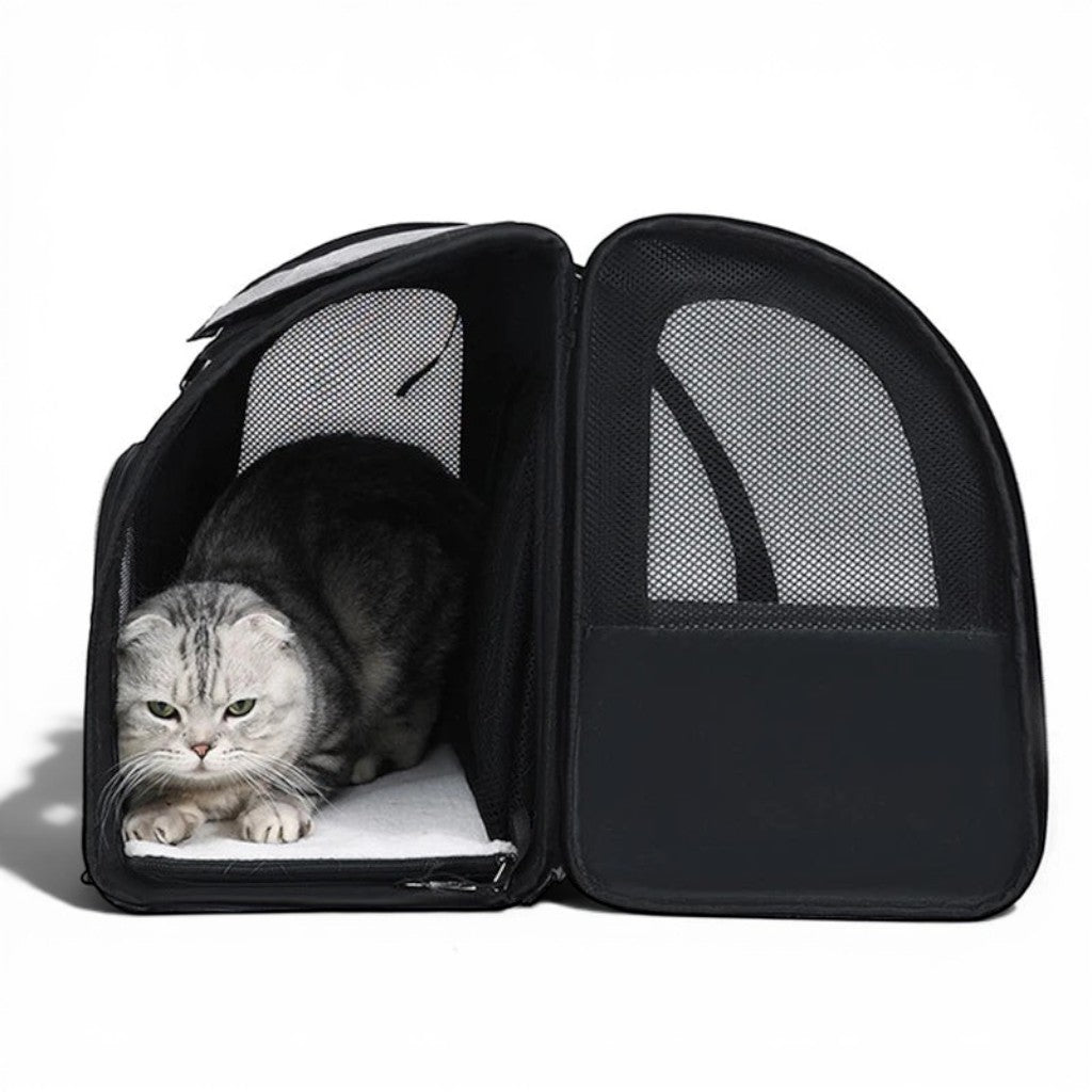 Sac de transport extensible Esprit Chat en tissu oxford noir avec filet respirant pour chat