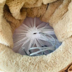 Intérieur en velours doux du sac de transport Esprit Chat avec filet de sécurité ajustable pour petit animal