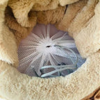 Intérieur en velours doux du sac de transport Esprit Chat avec filet de sécurité ajustable pour petit animal