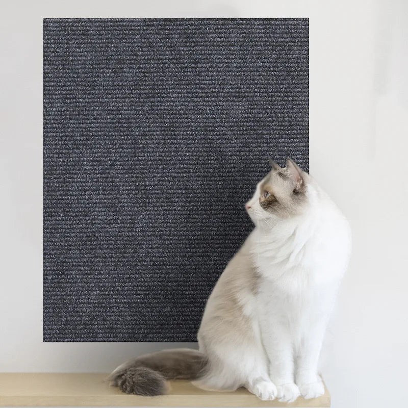 Tapis griffoir Esprit Chat gris foncé en nylon adhésif pour protéger le canapé des griffes d'un chat Ragdoll
