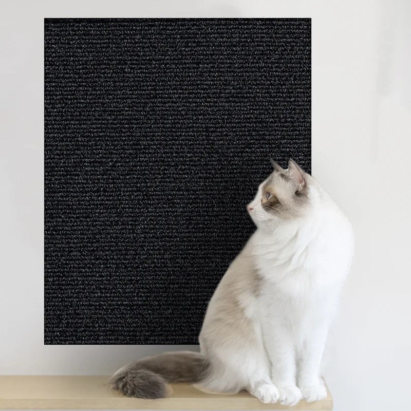 Tapis griffoir Esprit Chat noir autocollant pour protéger le canapé des griffes d'un chat Ragdoll assis à côté