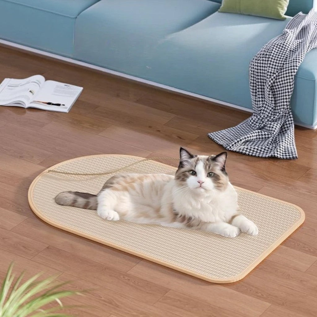 Esprit Chat tapis griffoir en bois naturel pour chat, idéal pour les griffes.