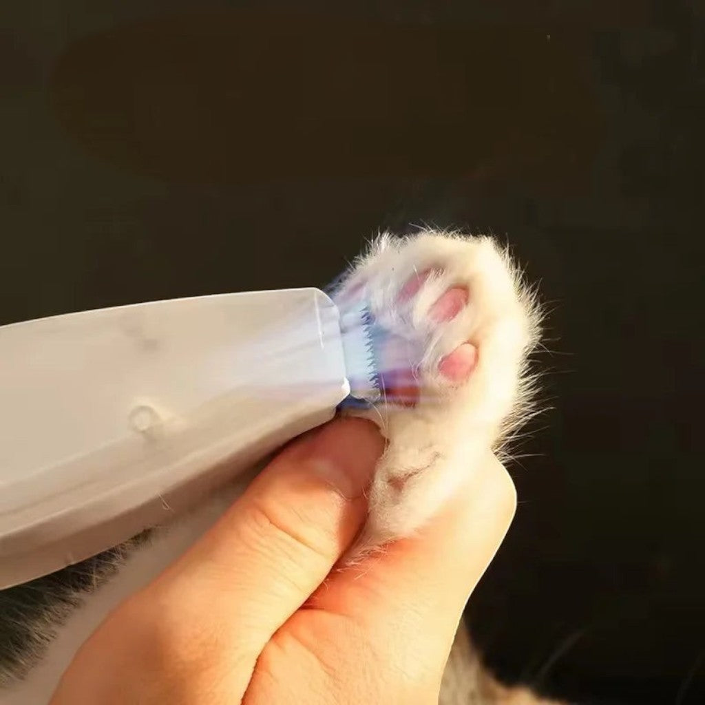 Tondeuse Esprit Chat électrique 2 en 1 avec aspirateur intégré pour raser en douceur les poils des pattes de chat