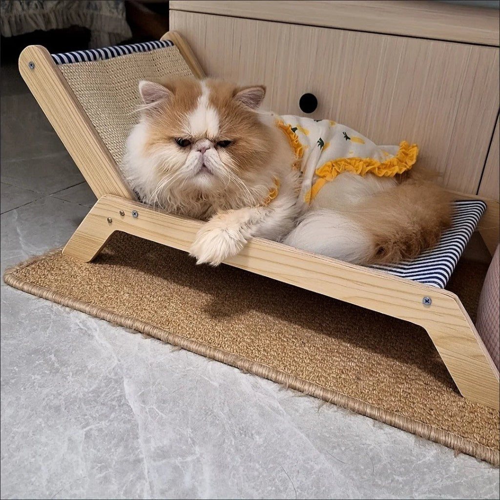 Chat persan portant une robe jaune allongé sur un transat en bois Esprit Chat avec un tissu à rayures bleues