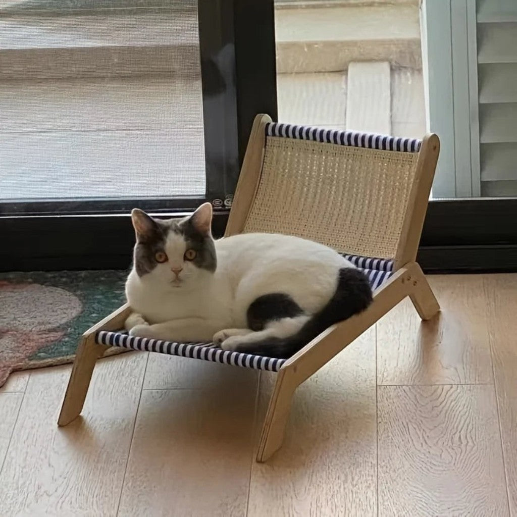 Chat bicolore allongé sur un transat en bois Esprit Chat avec un tissu rayé bleu et blanc près d'une baie vitrée