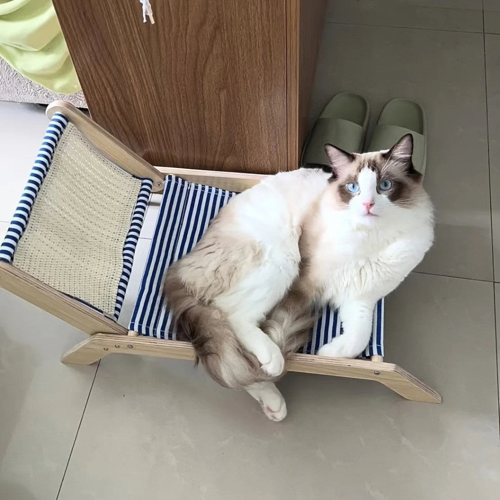 Chat Ragdoll allongé sur un transat en bois Esprit Chat avec une toile rayée bleue et blanche
